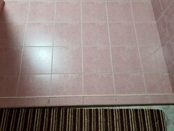 Hougang Street 92 (Hougang),  #441174701